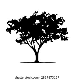 A black silhouette of a large, mature tree with dense leaves and sprawling branches, set against a plain white background.