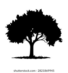 A black silhouette of a large mature tree with dense foliage, branches, and a shadow on the ground, isolated on a white background.