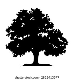 A black silhouette of a large mature tree with dense foliage and a sturdy trunk, set against a plain white background.