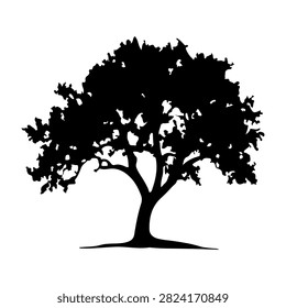 A black silhouette of a large mature tree with dense foliage, showcasing intricate branches and a sturdy trunk, set against a plain white background.
