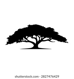 A black silhouette of a large, mature tree with expansive branches and dense foliage, set against a plain white background.