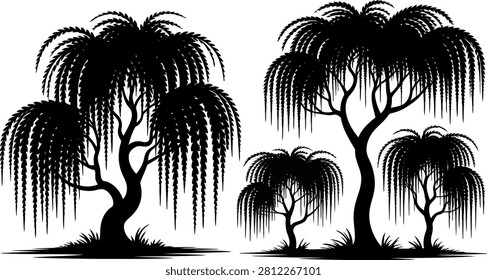 Black silhouette of a large weeping willow and a smaller willow with drooping branches tree