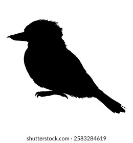 Black Silhouette of Laughing Kookaburra. Vector Australian Bird Full Body Illustration