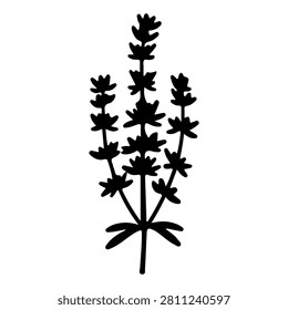 Black silhouette of a lavender plant with multiple stems and leaves, isolated on a white background, showcasing botanical structure and form.