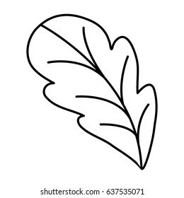 black silhouette of leaf front view of beet vector illustration