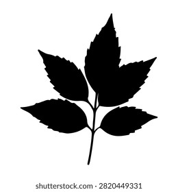 A black silhouette of a leaf with multiple leaflets, showcasing natural leaf structure and detailed edges, isolated on a white background.