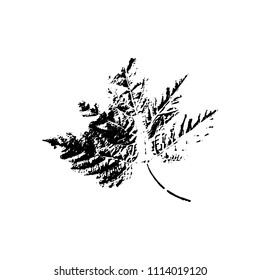 Black silhouette with leaf of tree. Single isolated clipart. Prints of leaves on branch. Flora and nature theme for paper cutting scrapbook design