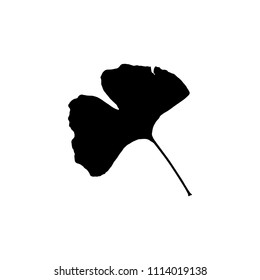 Black silhouette with leaf of tree. Single isolated clipart. Prints of leaves on branch. Flora and nature theme for paper cutting scrapbook design