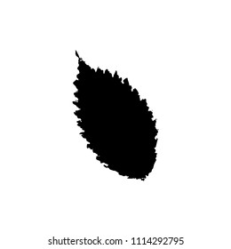 Black silhouette with leaf of tree. Single isolated clipart. Prints of leaves on branch. Flora and nature theme for paper cutting scrapbook design