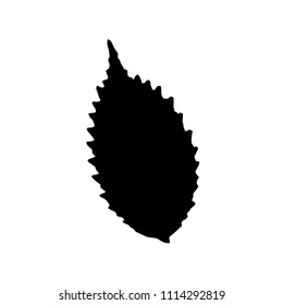 Black silhouette with leaf of tree. Single isolated clipart. Prints of leaves on branch. Flora and nature theme for paper cutting scrapbook design