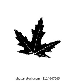 Black silhouette with leaf of tree. Single isolated clipart. Prints of leaves on branch. Flora and nature theme for paper cutting scrapbook design