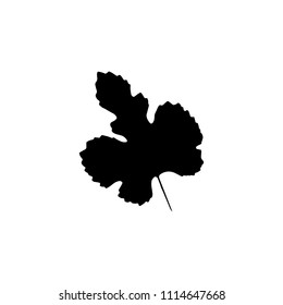 Black silhouette with leaf of tree. Single isolated clipart. Prints of leaves on branch. Flora and nature theme for paper cutting scrapbook design