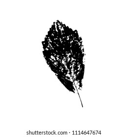 Black silhouette with leaf of tree. Single isolated clipart. Prints of leaves on branch. Flora and nature theme for paper cutting scrapbook design