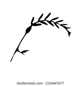 Black silhouette with leaf of tree. Single isolated clipart. Prints of leaves on branch. Flora and nature theme for paper cutting scrapbook design