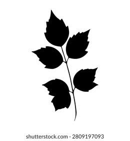 Black silhouette of a leafy branch with multiple leaves on a white background, emphasizing natural plant structure and form.