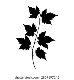 Black silhouette of a leafy branch with multiple detailed leaves on a white background, emphasizing natural plant structure and form.