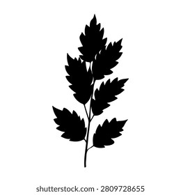 Black silhouette of a leafy branch with multiple detailed leaves on a white background, emphasizing natural plant structure and form.