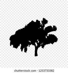 Black silhouette of leafy tree isolated on transparent background . Vector illustration, icon, sign, template for design.