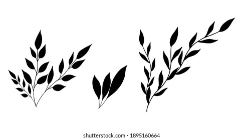 Black silhouette of  leaves. Vector illustration.