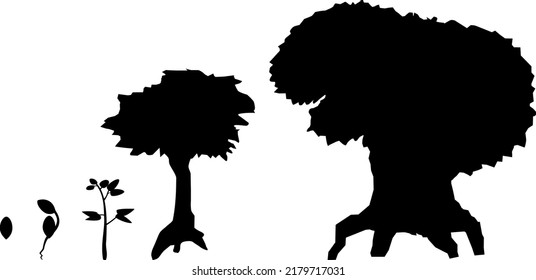 Black silhouette of life cycle of tree: from seed to old tree. Stages of growth of cartoon tree isolated on white background