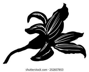 black silhouette of lily flower