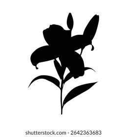 Black silhouette of a lily flower with leaves and buds against a white background. The style is simple and minimalist with bold black shapes.