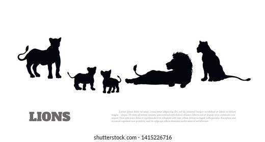 Black silhouette of  lion pride on white background. Isolated scene of savannah wildlife.   Landscape of wild african animals. Vector illustration 
