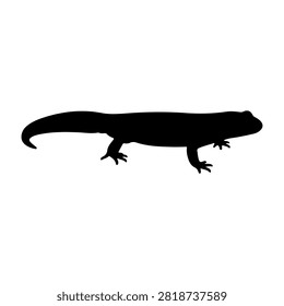 A black silhouette of a lizard with detailed tail and limbs, set against a plain white background, highlighting its shape and form.