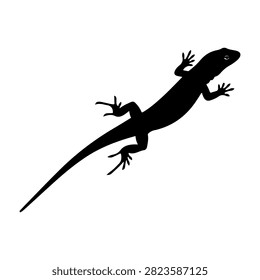 Black silhouette of a lizard with detailed tail and limbs, set against a plain white background, emphasizing the reptiles shape and form.