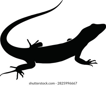Black silhouette of a lizard with a long tail and four legs isolated on a white background, flat for nature and biology themes