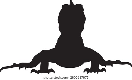 Black silhouette of lizard reptile creature isolated on white background for art work.