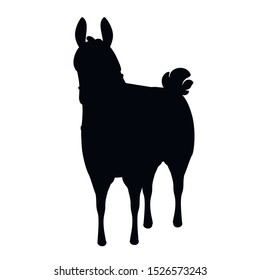 Black silhouette of llama cartoon animal design flat vector illustration isolated on white background front view