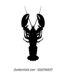 Black silhouette of lobster. Top view. Restaurant dish. Seafood. Image of langust. Vector illustration