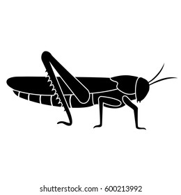 A black silhouette of a locust or a grasshopper is depicted on a white background. Wings, legs, antennae, head, abdomen are visible.