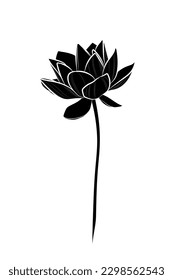 Silueta negra de flor de loto sobre fondo blanco. Dibujo gráfico. Ilustración vectorial.