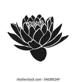 Black silhouette of lotus flowers icon on a white background