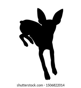 black silhouette of a lying dog