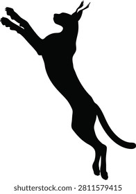Black silhouette of a lynx leaping or pouncing with silhouette wildlife pouncing