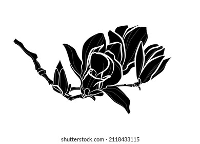 Black silhouette of magnolia branch with flowers on white background. Graphic drawing. Vector illustration.