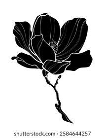 Black silhouette of Magnolia flower on white background. Graphic drawing. Vector illustration.
