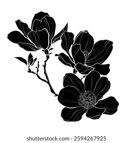 Black silhouette of magnolia flowers on white background. Graphic drawing. Vector illustration.