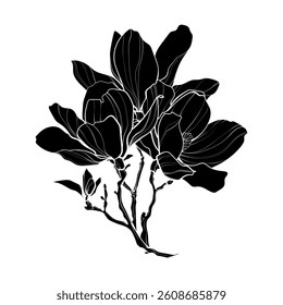 Black silhouette of magnolia flowers on white background. Graphic drawing. Vector illustration.