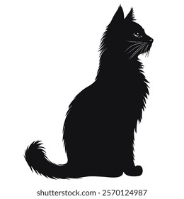 Black silhouette of a Maine Coon