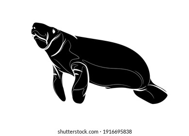 Black silhouette of the manatee on white background. Graphic drawing. Vector illustration. svg