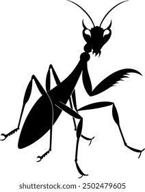 Black Silhouette mantis animal, solid white color background