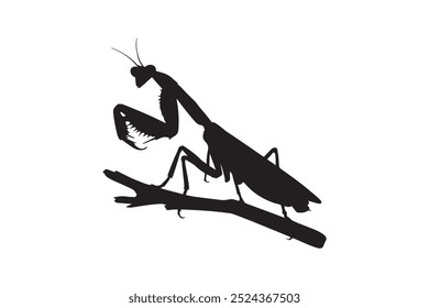 Black silhouette mantis animal solid white color vector image