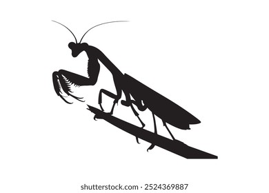 Black silhouette mantis animal solid white color vector