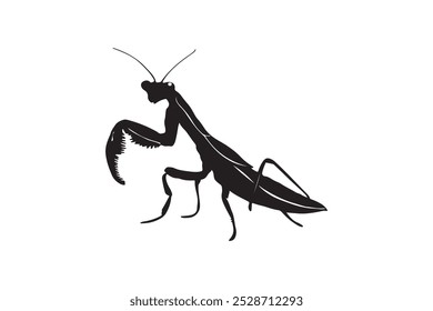 Silhueta preta mantis animal imagem vetorial de cor branca sólida