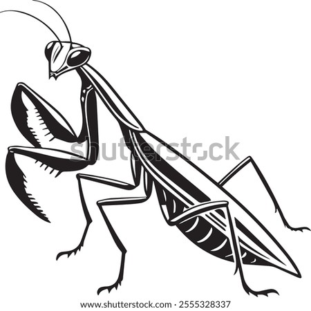Silhouette of a Mantis on Grass