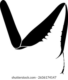Black silhouette of mantis leg